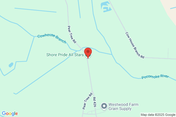Eastern Shore Amusement Inc