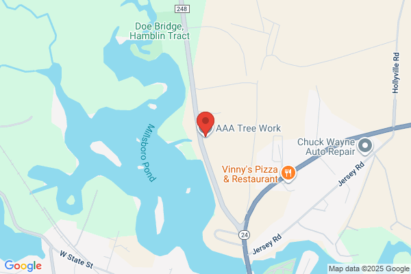 A-1 Able Tree Service