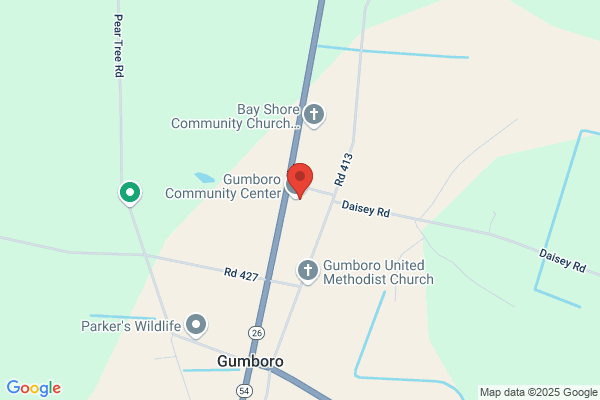 Gumboro Auto