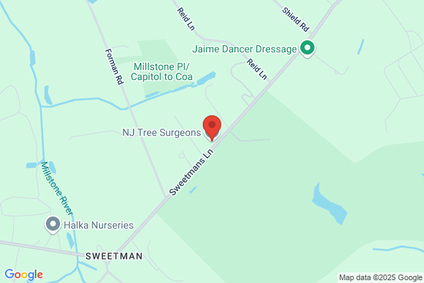NJ Tree Surgeons