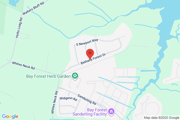 Bethany Forest
