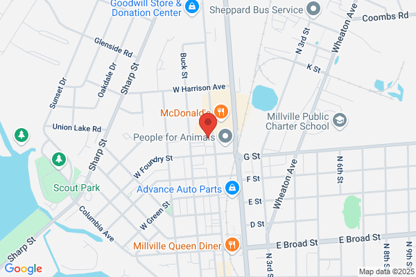 Solid Rock Dental - Millville