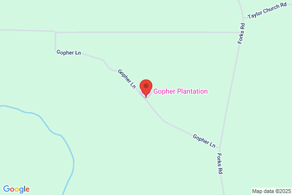 Gopher Plantation