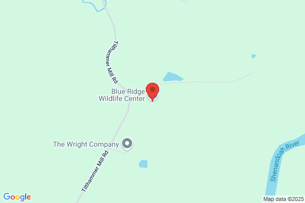 Blue Ridge Wildlife Center