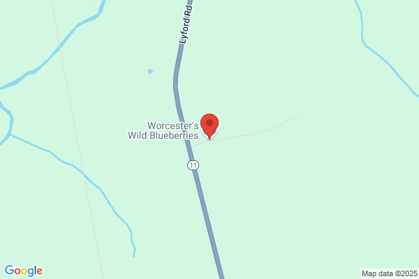 Worcester's Wild Blueberries