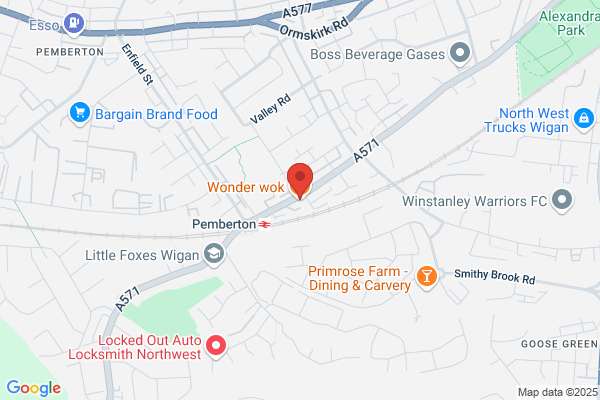 Wonder Wok