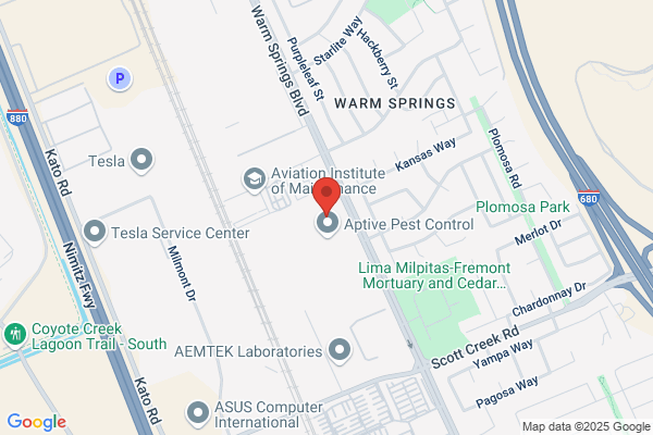 Mission Peak Tree Service