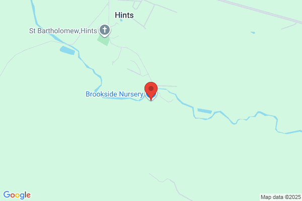 Kevin's Brookside Nursery