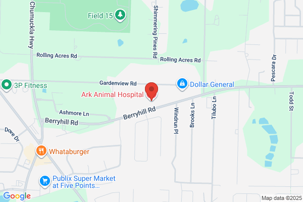 Ark Animal Hospital In Pace