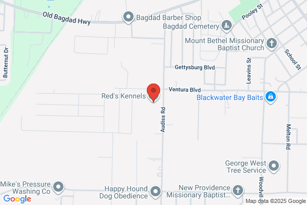 Reds Kennels