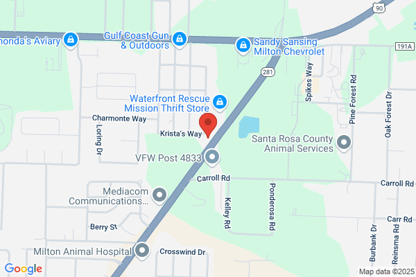 Emerald Coast Automotive