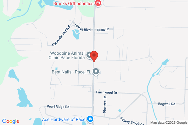 ARC Chimney Sweeps of Milton FL