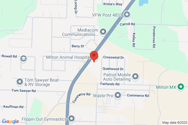 Avalon Dental