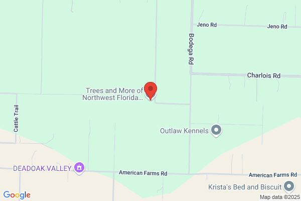 Trees and More of Northwest Florida- Fanberg Brothers LLC