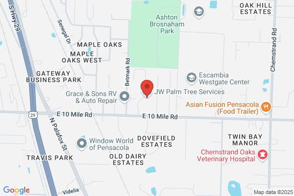 Jw palm tree services LLC.
