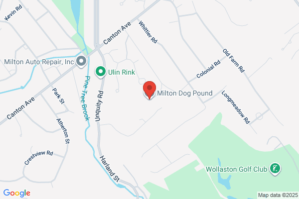 Milton Town of, Dog Pound