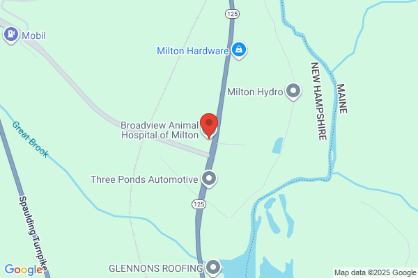 Milton Veterinary Clinic