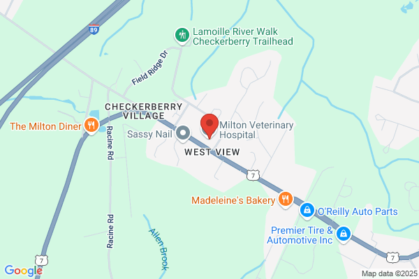 Milton Veterinary Hospital