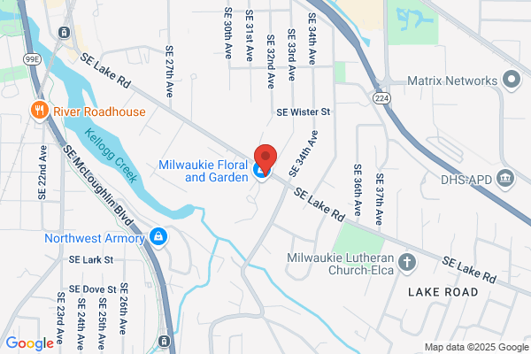 Affordable Tree Service Dba Arbor, Dynamics