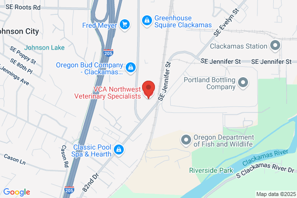 VCA Northwest Veterinary Specialists