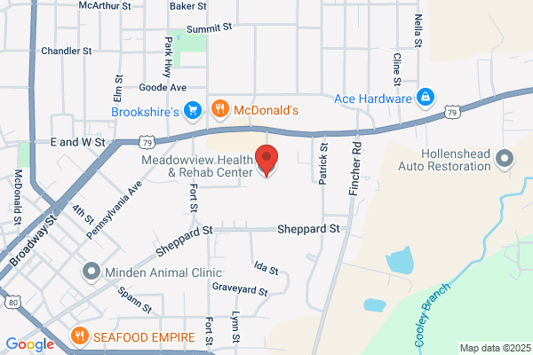 Meadowview Health and Rehab Center
