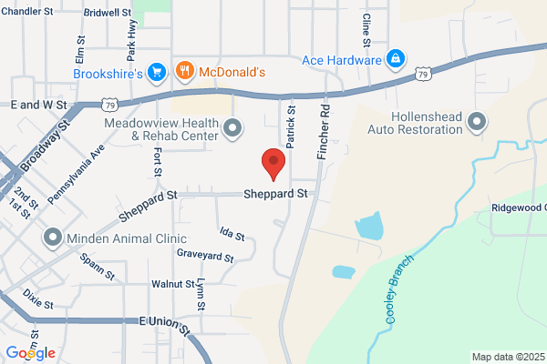 Webster Council Of Aging