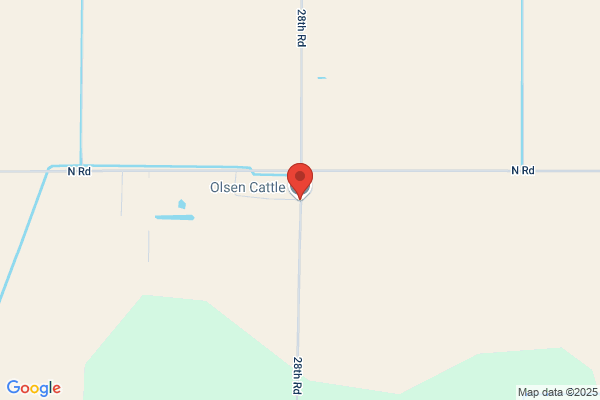 Olsen Cattle Co