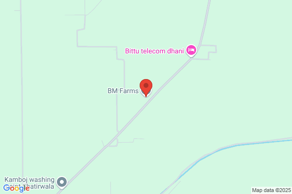 B & M Farm Inc