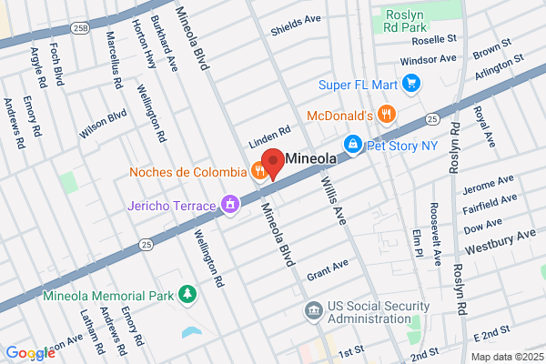 Mineola Chiropractic & Wellness PC
