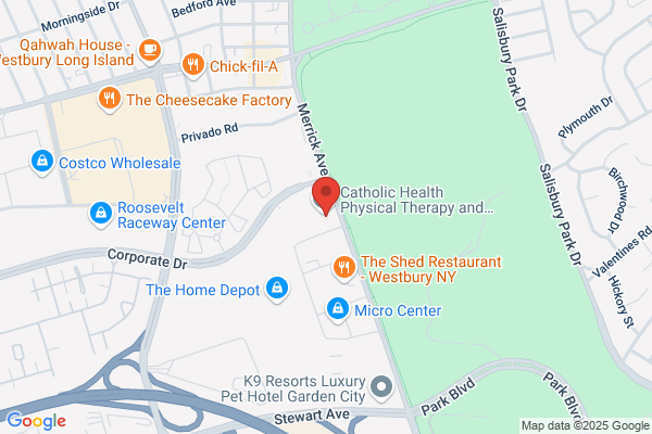 New York Spine Institute