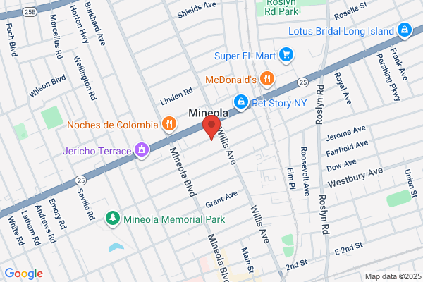 Mineola Village of