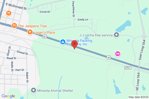Mineola Car Rental
