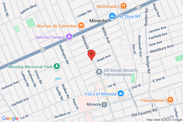 International Tours of Mineola