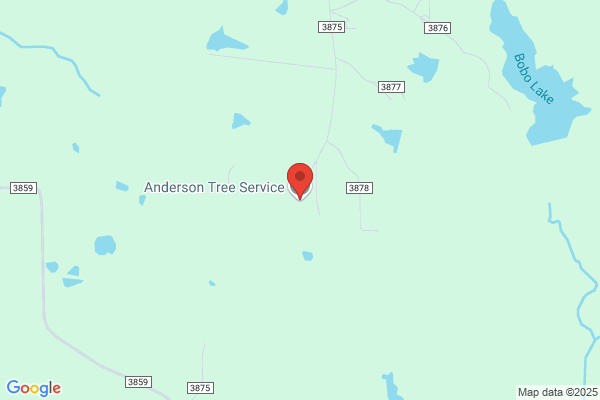 Anderson's Tree Service