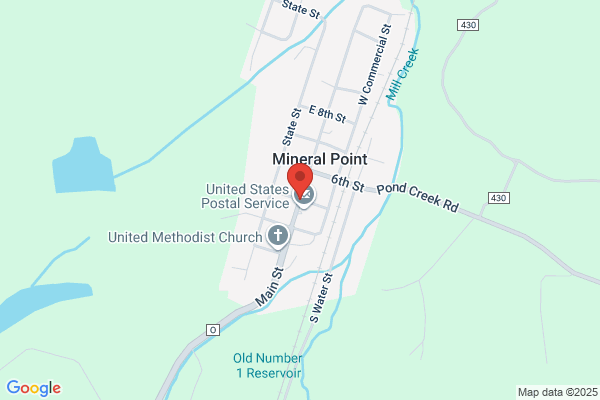 Mineral Point Lions Club