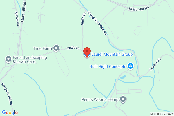 Laurel  Mountain Tree Service