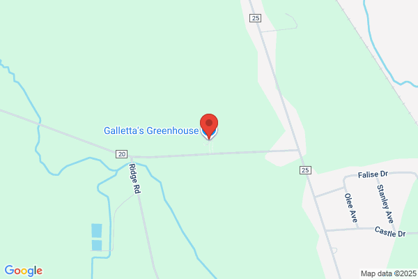 Galletta's Greenhouse