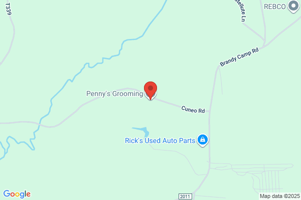Penny's Dog Grooming