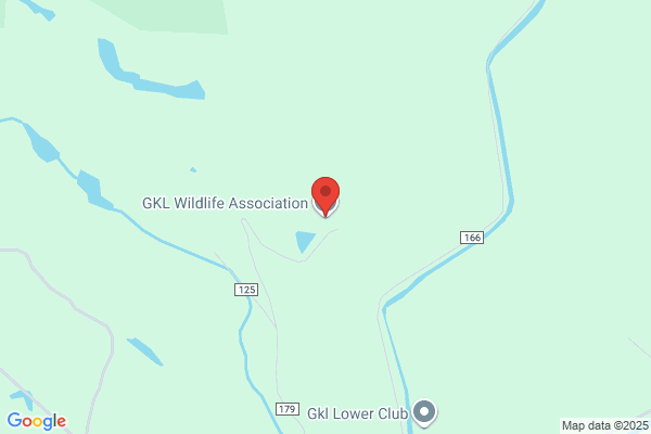 Gkl Wildlife Association