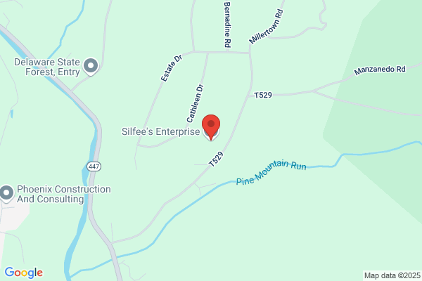 Silfee's Enterprise