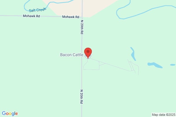 Bacon Cattle Co