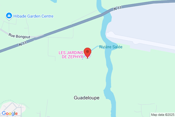La Guaealupana