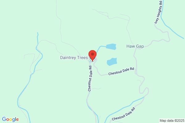 Daintrey Trees Inc