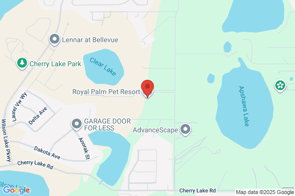 Royal Palm Kennels