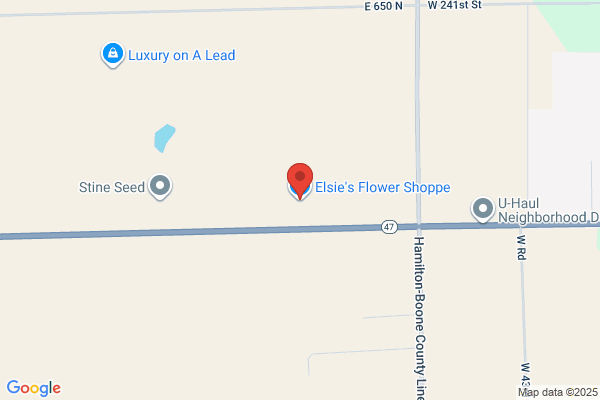 Elsie's Joy Floral & Gifts