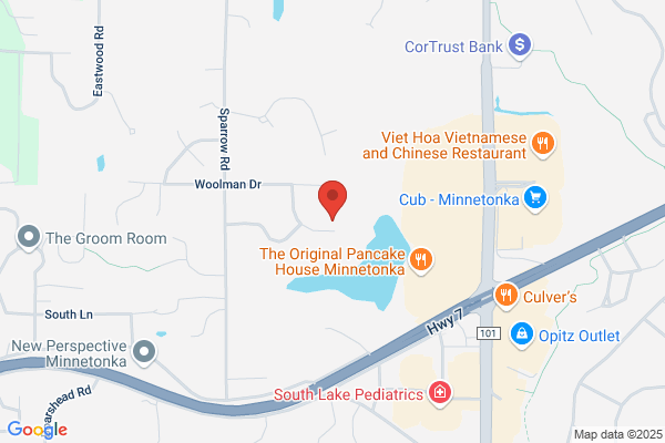 Medserv Inc