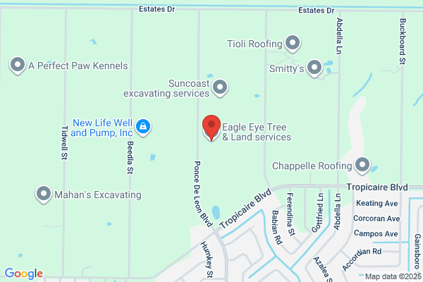 Eagle Eye Tree Service