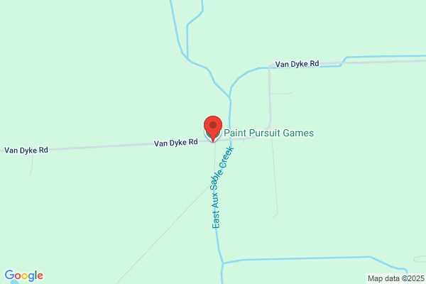 Paint Pursuit Games