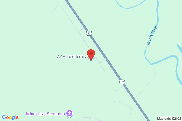 AAA Taxidermy
