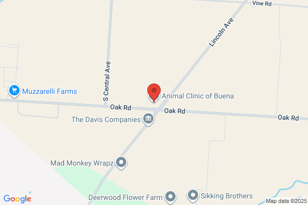 Animal Clinic Of Buena